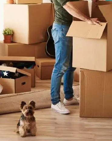 packers and movers